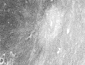 Langrenus